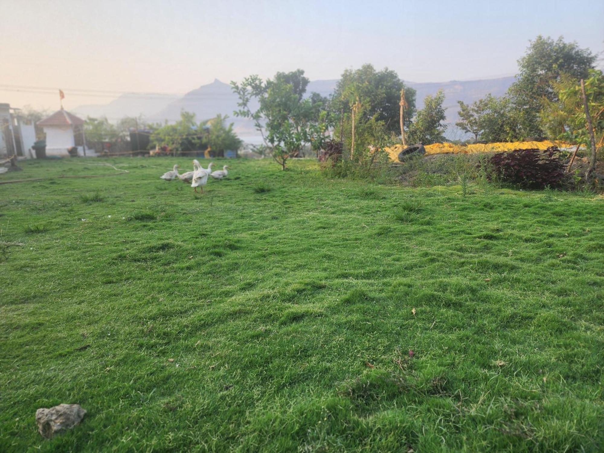 Jandyal Farm House Малшедж Гат Екстериор снимка